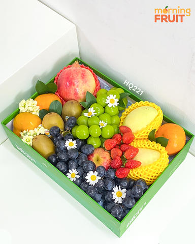  Hộp quà trái cây HQ221 