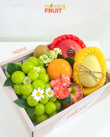  Hộp quà trái cây HQ213 