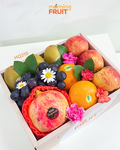  Hộp quà trái cây HQ215 