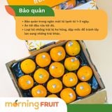  Hồng giòn New Zealand 