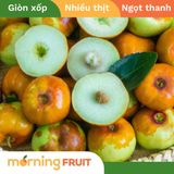  Hồng táo dẹt 