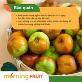  Hồng táo dẹt 