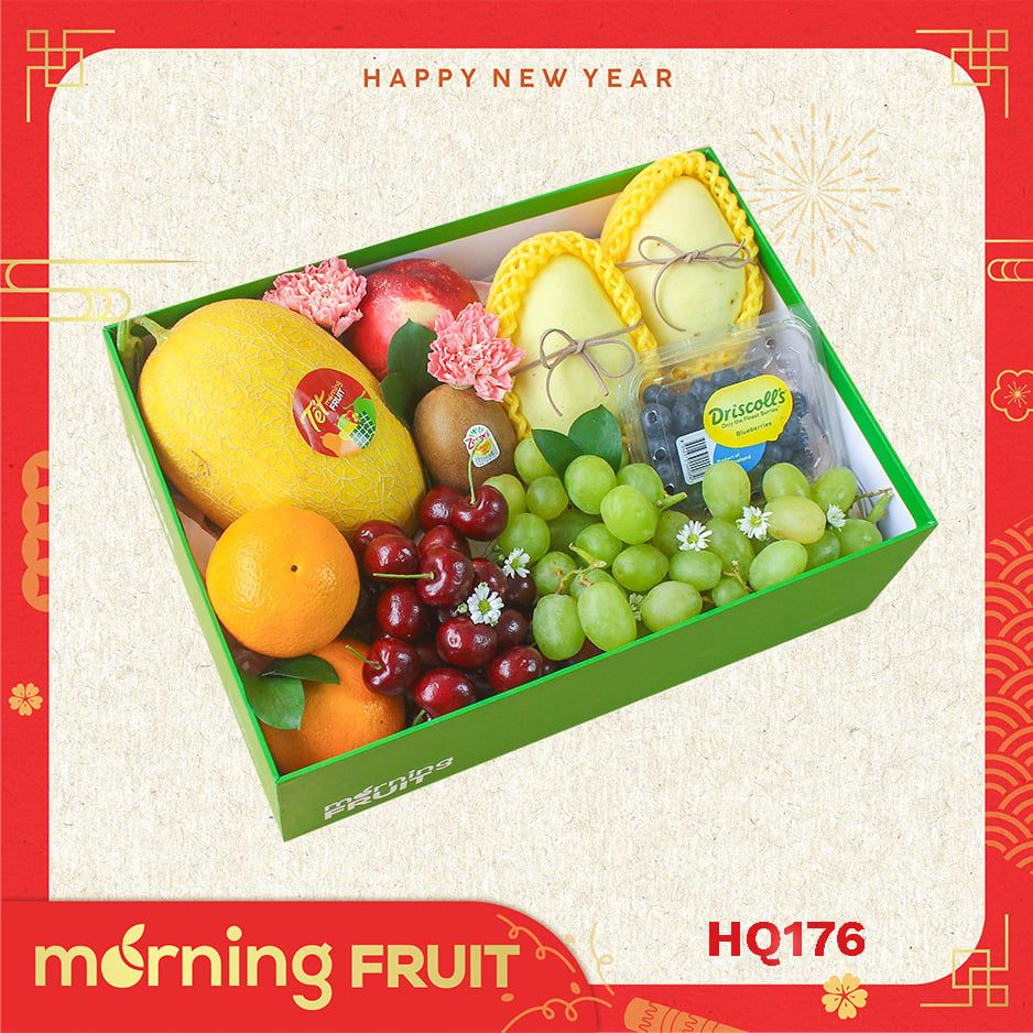  Hộp quà trái cây HQ176 