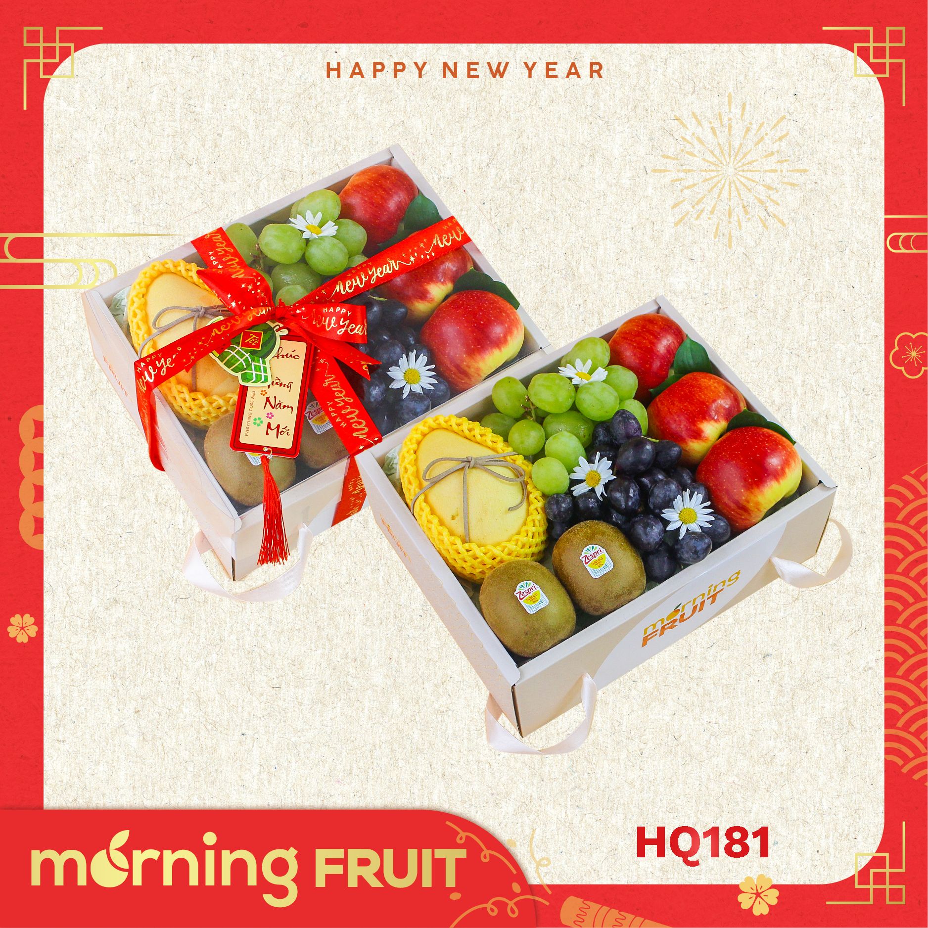  Hộp quà trái cây HQ181 