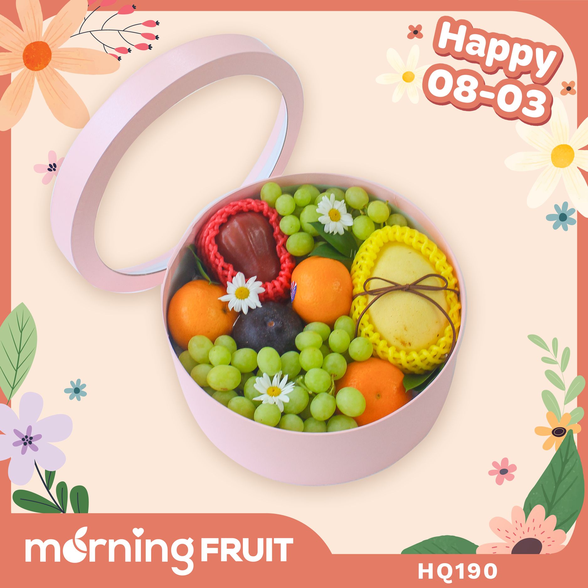  Hộp quà trái cây HQ190 