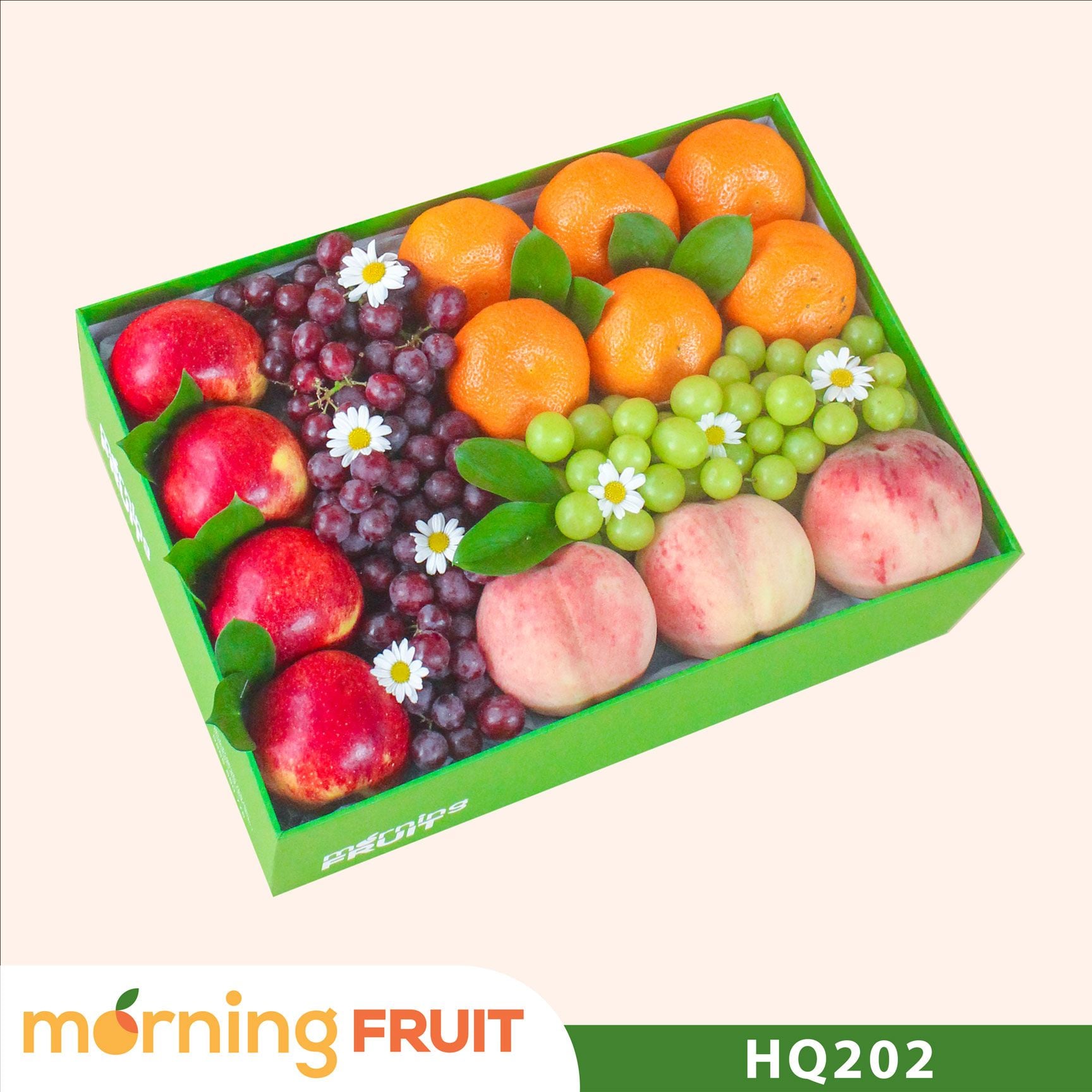  Hộp quà trái cây HQ202 