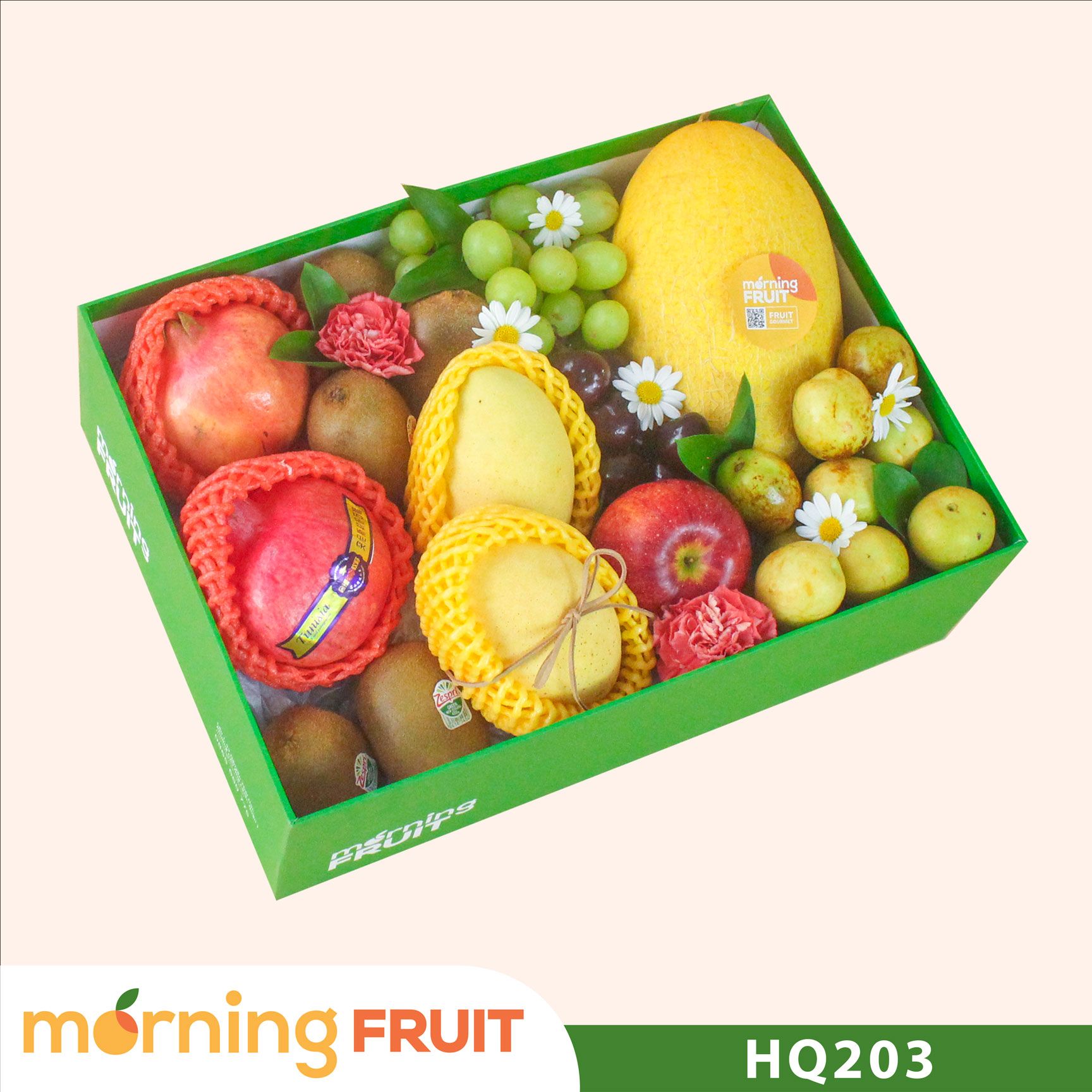  Hộp quà trái cây HQ203 