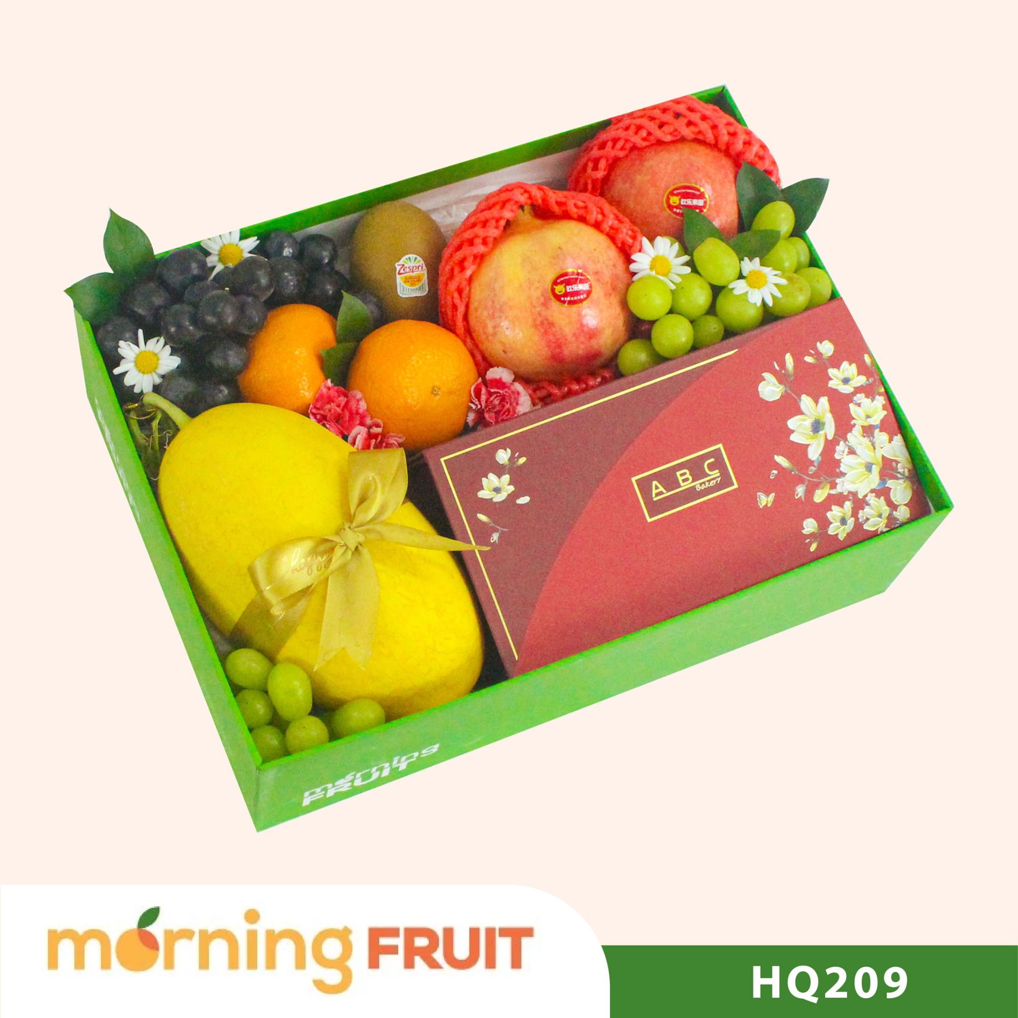 Hộp quà trái cây HQ209 