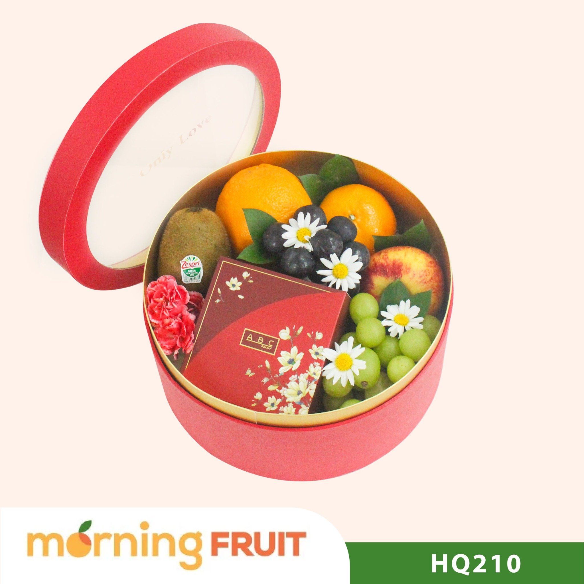  Hộp quà trái cây HQ210 