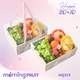  Hộp quà trái cây HQ213 