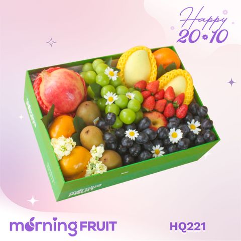  Hộp quà trái cây HQ221 