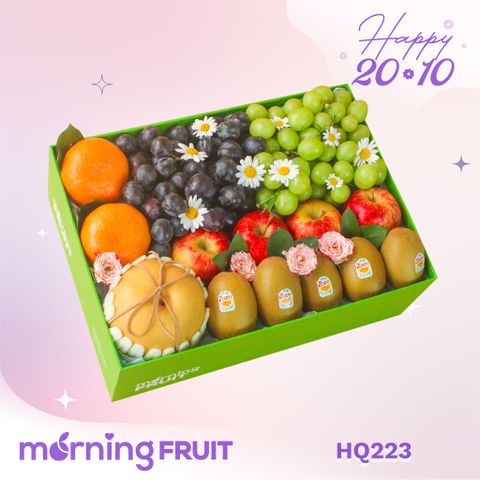 Hộp quà trái cây HQ223 