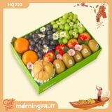  Hộp quà trái cây HQ223 