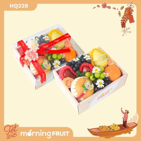  Hộp quà trái cây HQ228 