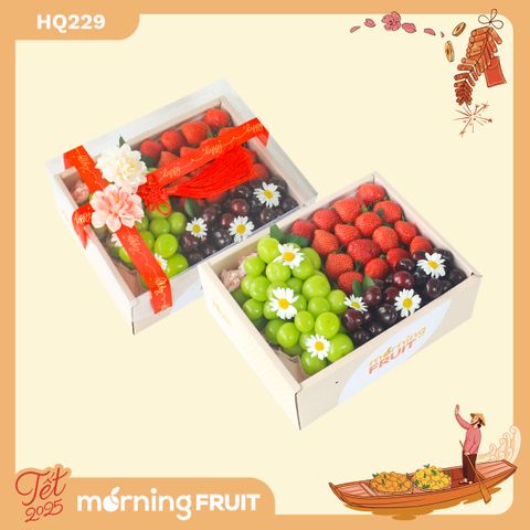  Hộp quà trái cây HQ229 
