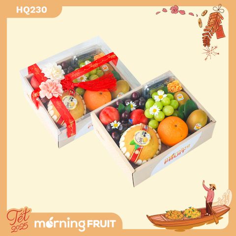  Hộp quà trái cây HQ230 