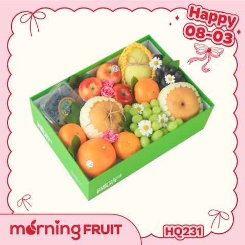  Hộp quà trái cây HQ231 