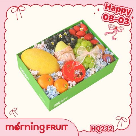  Hộp quà trái cây HQ232 