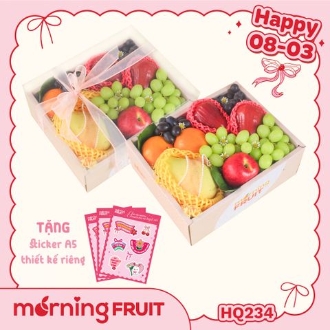  Hộp quà trái cây HQ234 