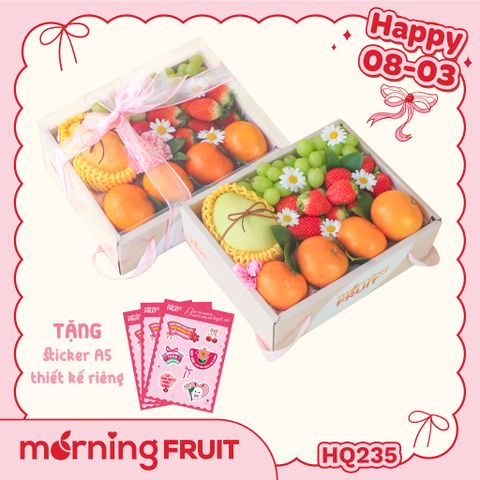  Hộp quà trái cây HQ235 