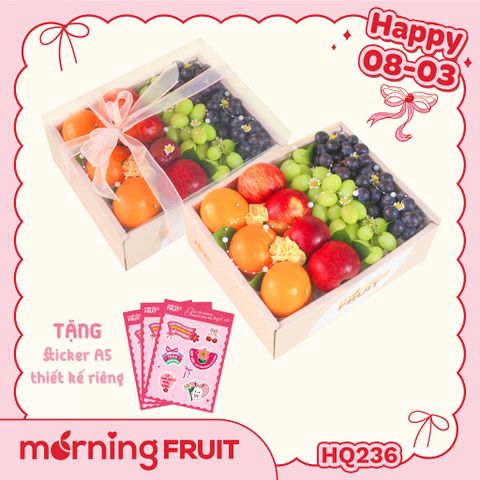  Hộp quà trái cây HQ236 