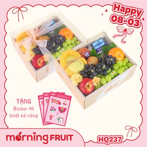  Hộp quà trái cây HQ237 