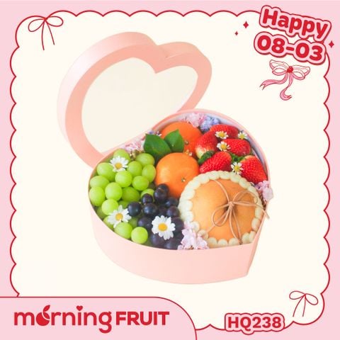  Hộp quà trái cây HQ238 