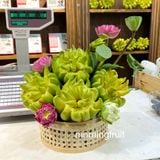  Mâm ngũ quả 010 