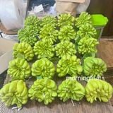  Mâm ngũ quả 010 
