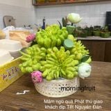  Mâm ngũ quả 010 