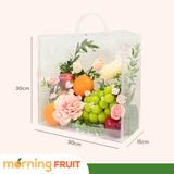  Hộp quà Vali trái cây V010 