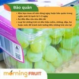  Nho kẹo vị Vani Cotton Candy Úc 