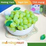  Nho kẹo vị Vani Cotton Candy Úc 