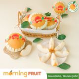  Lê Singo Nội địa Trung 