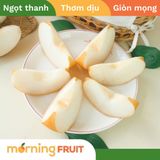  Lê Singo Nội địa Trung 