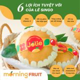  Lê Singo Nội địa Trung 