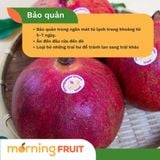  Lựu Israel 