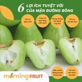  Mận đường bông 