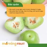  Mận đường bông 