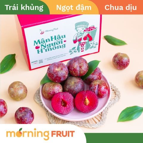  Mận Hậu Người H'mông 