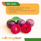  Mận Hậu Người H'mông 