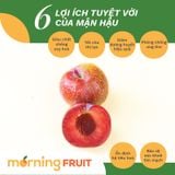  Mận Hậu Người H'mông 