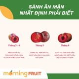  Mận Hậu Người H'mông 