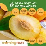  Mận vàng Mỹ 