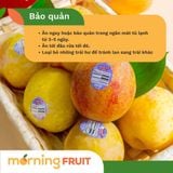  Mận vàng Mỹ 