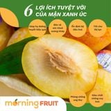  Mận xanh Úc 