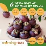  Măng cụt Thái Lan 