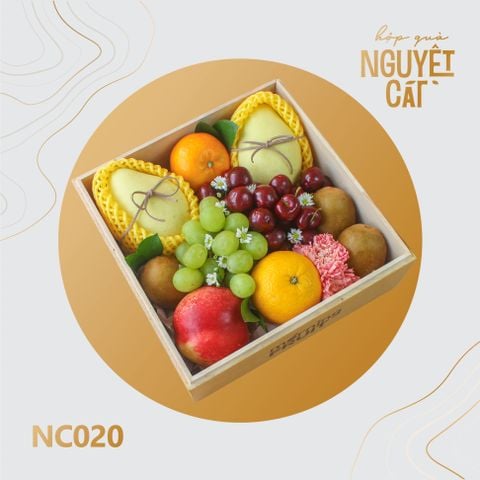  Nguyệt Cát 020 