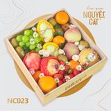  Nguyệt Cát 023 