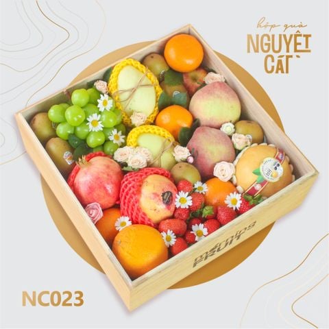  Nguyệt Cát 023 